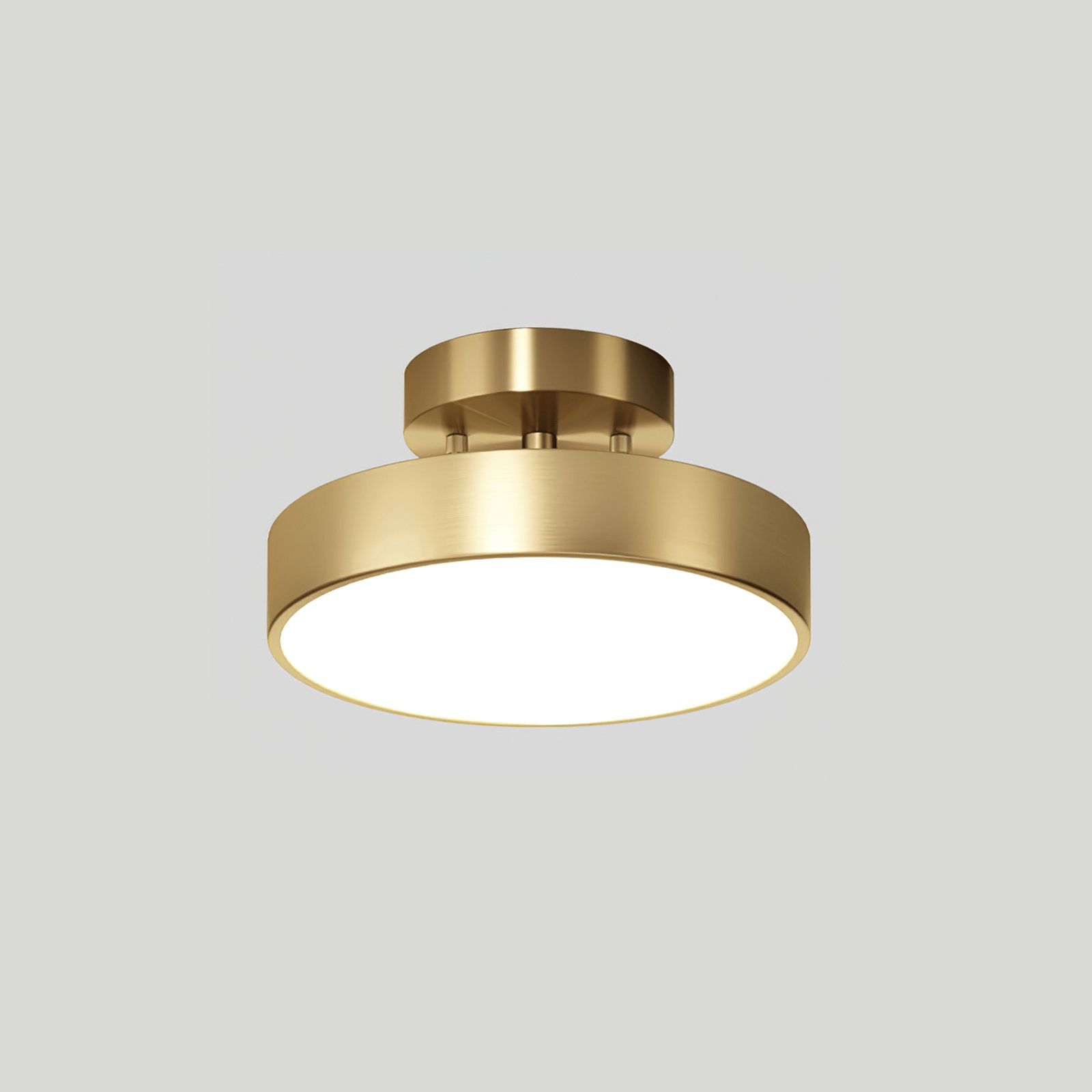 Seccon Ceiling Light