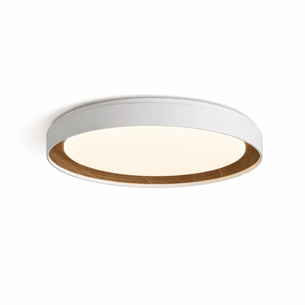 Arto Disc Ceiling Light