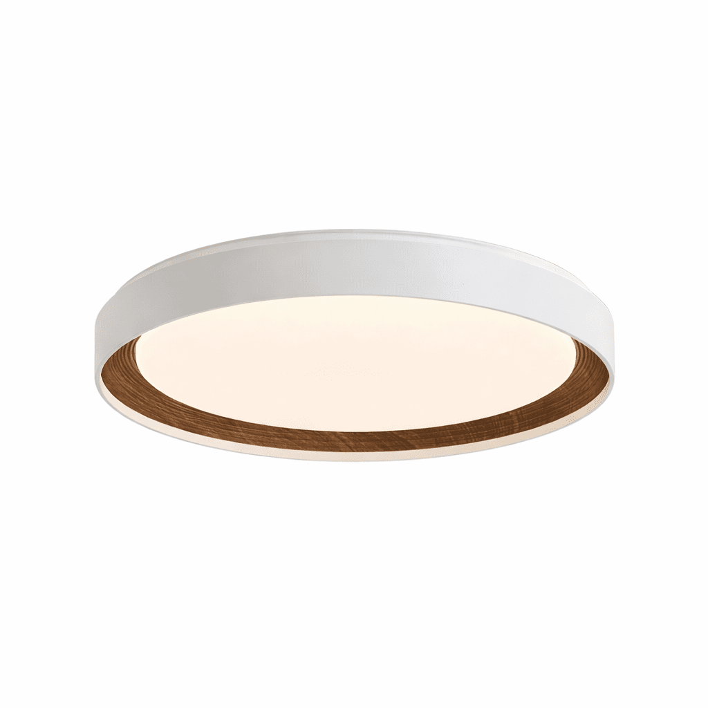 Arto Disc Ceiling Light