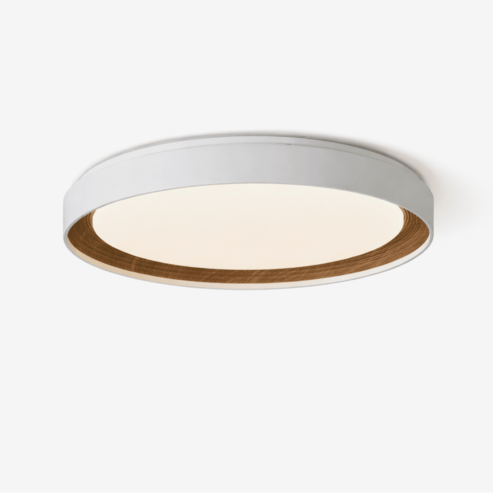 Arto Disc Ceiling Light