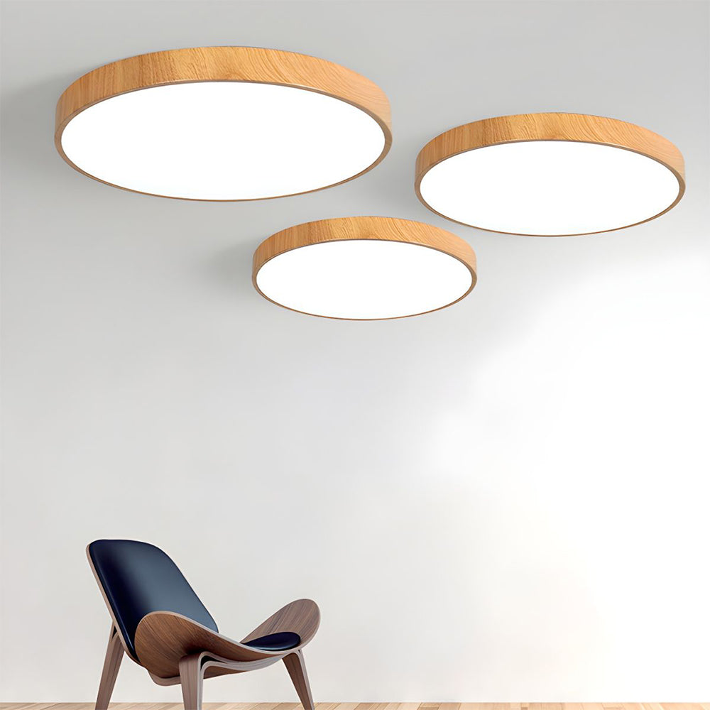 Concize Disc Ceiling Light