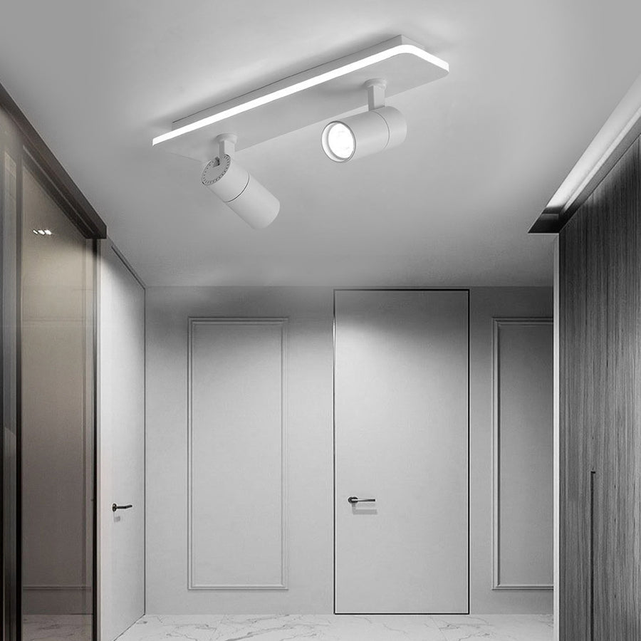 Triccon Ceiling Light
