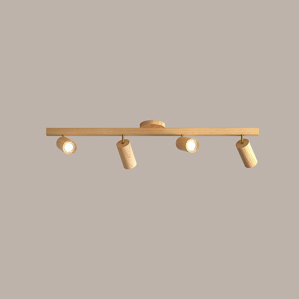 Metoza Ceiling Light