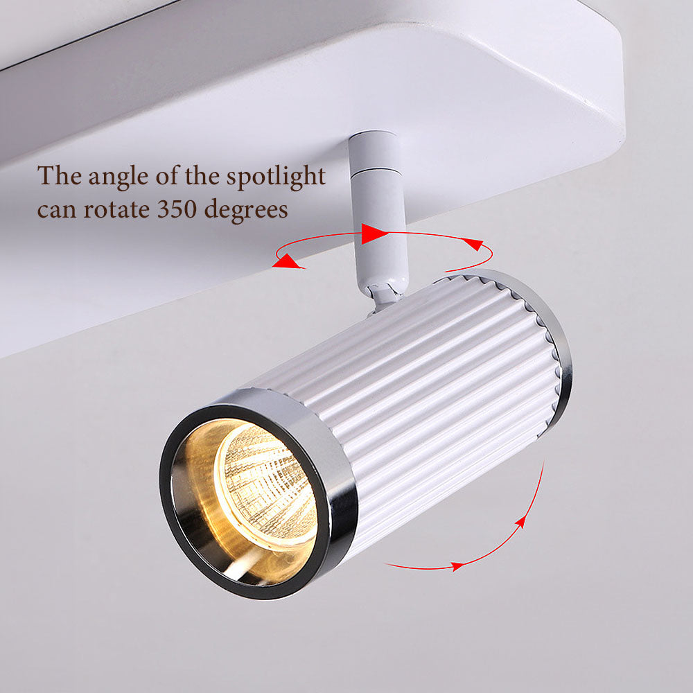 Celzilo Ceiling Light