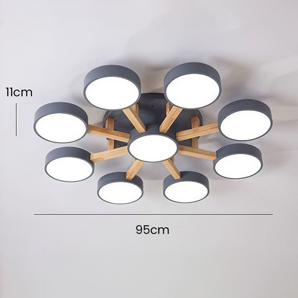 Finizaro Ceiling Light