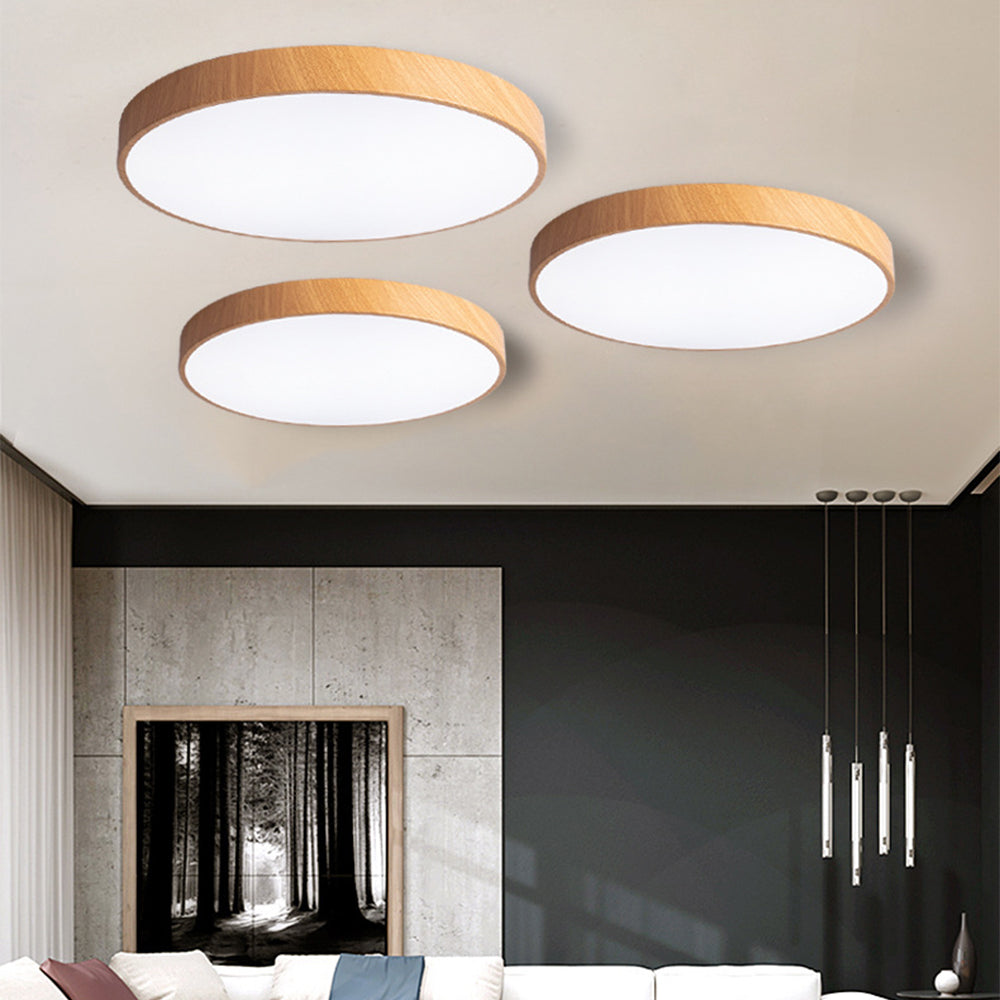 Concize Disc Ceiling Light