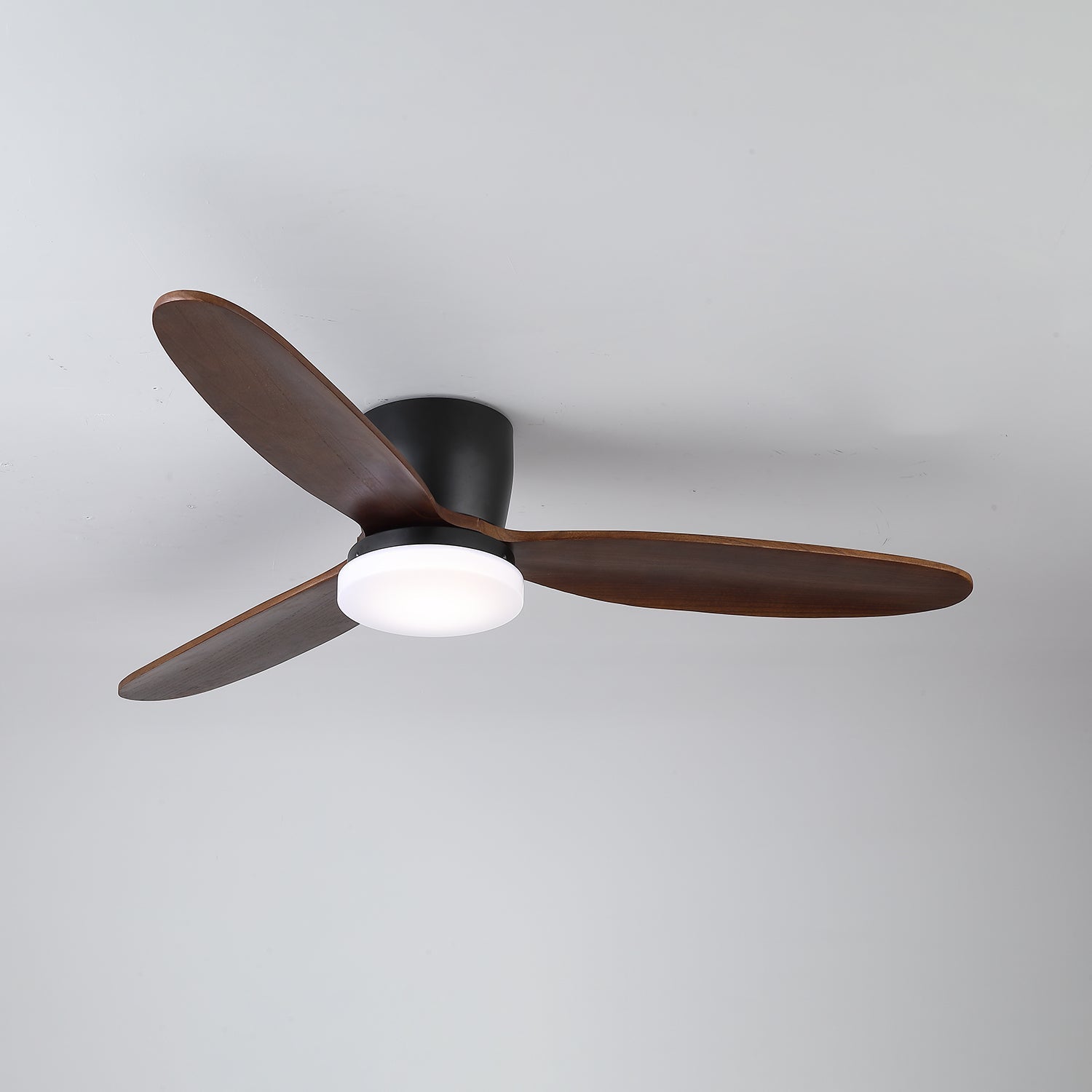 Nesorim Ceiling Fan