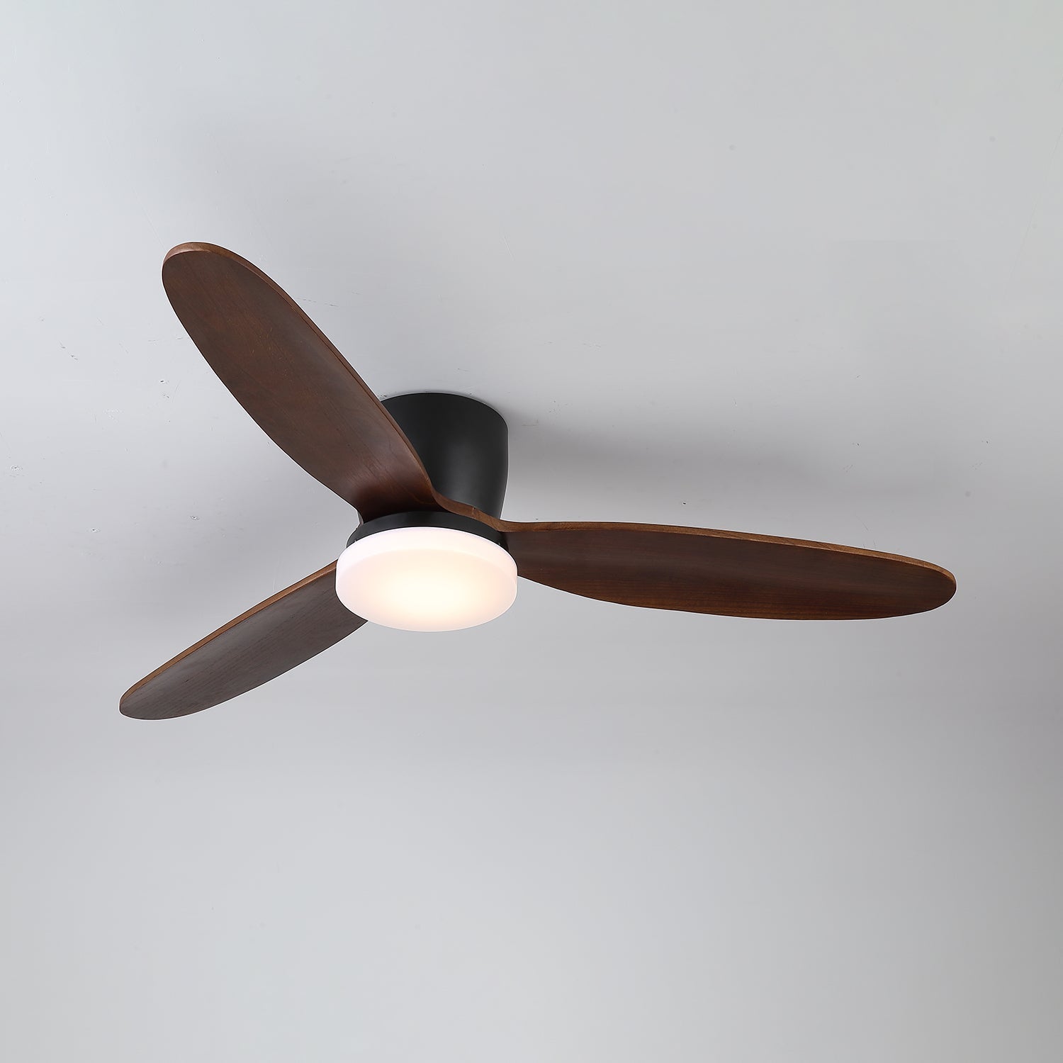 Nesorim Ceiling Fan