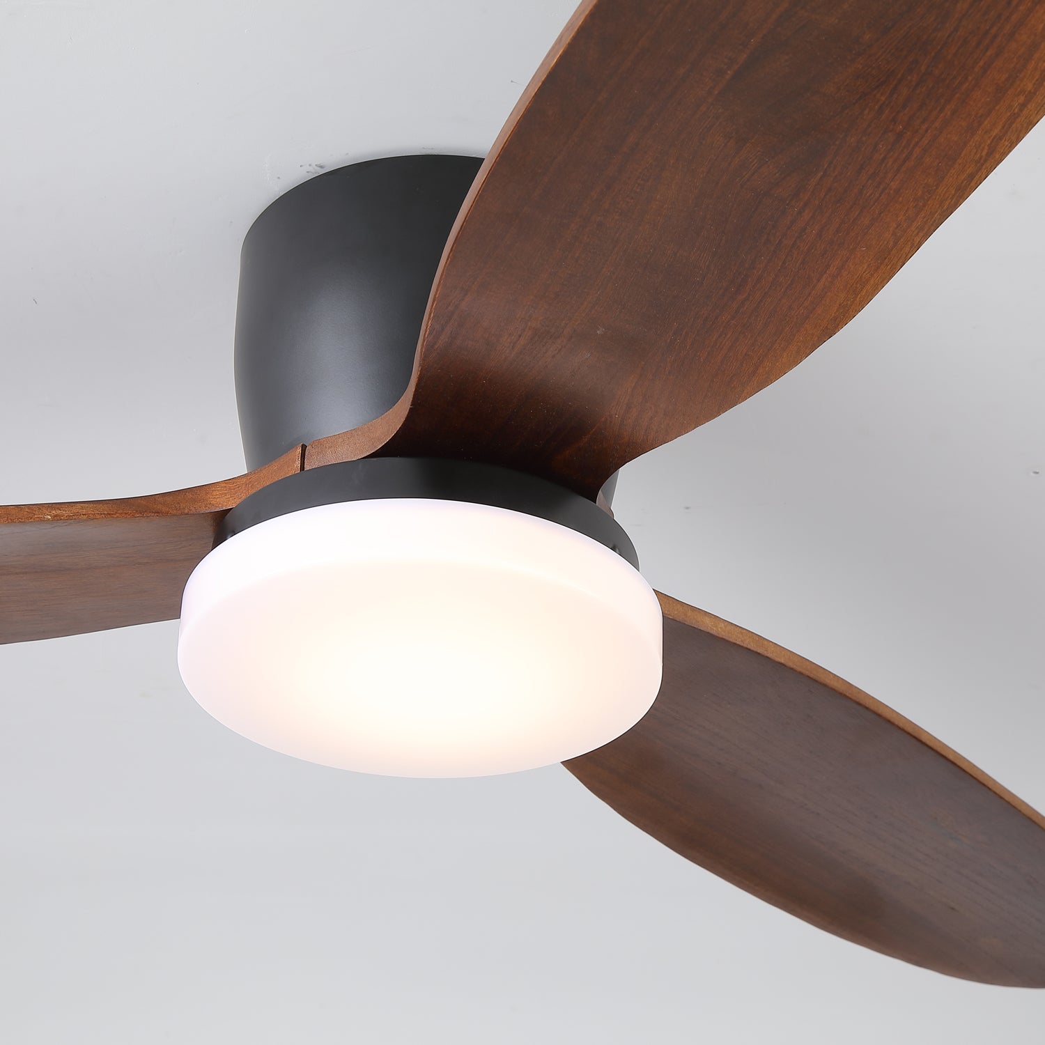 Nesorim Ceiling Fan
