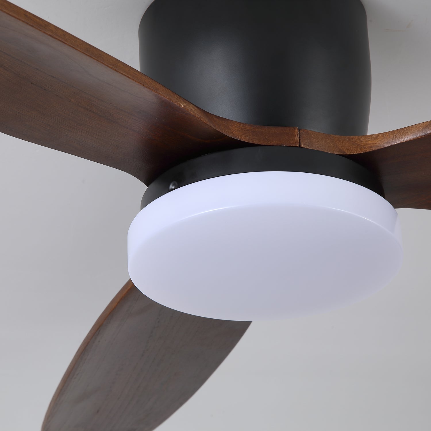 Nesorim Ceiling Fan
