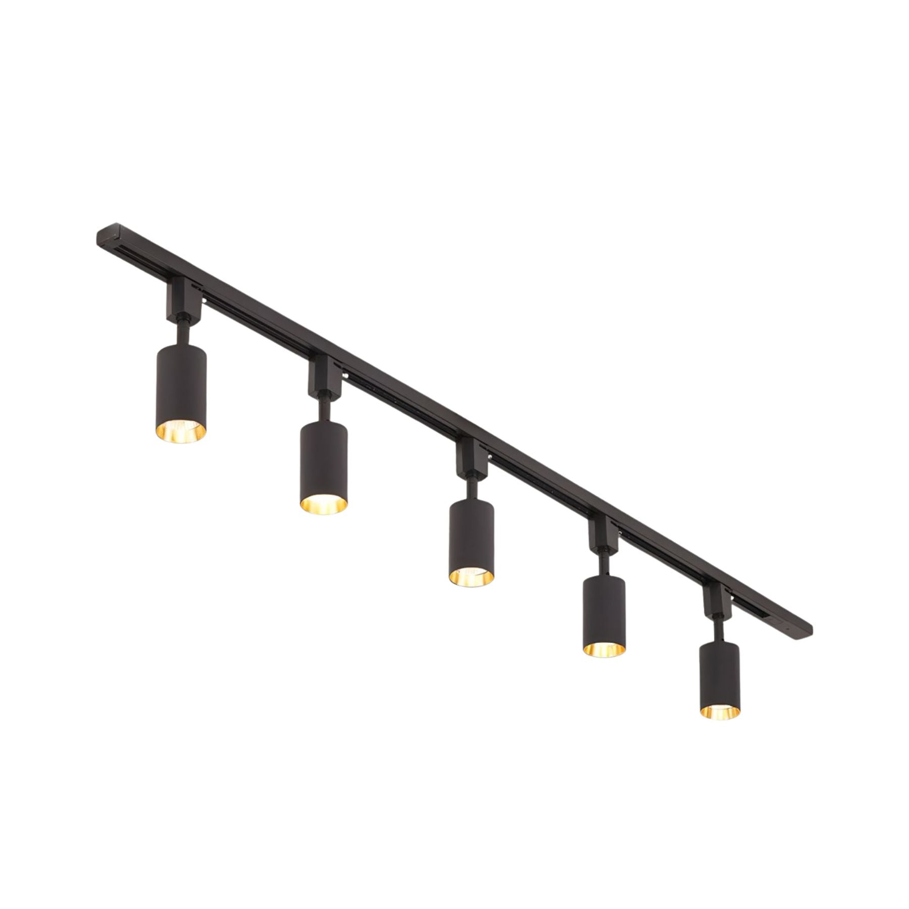 Sylonexis Ceiling Light