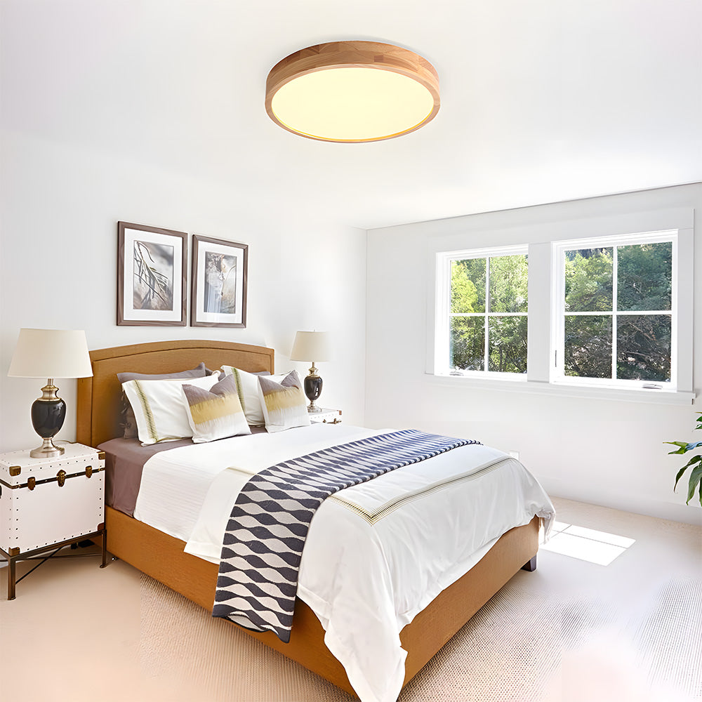 Erlivon Ceiling Light