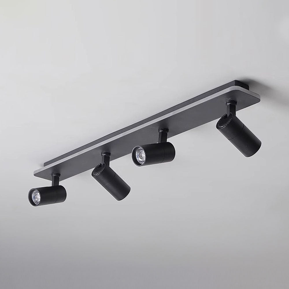 Triccon Ceiling Light