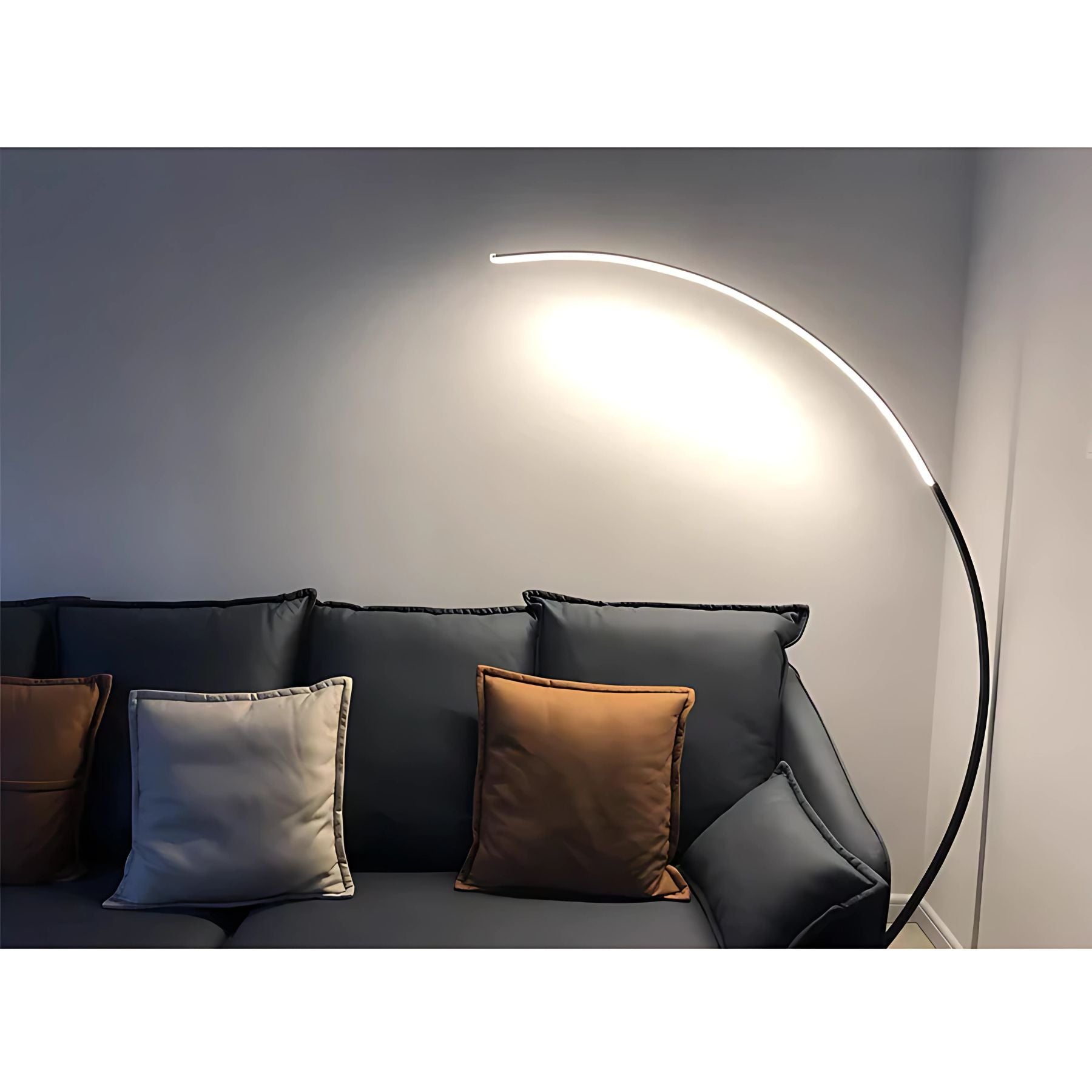 Zoleo Curved Floor Lamp