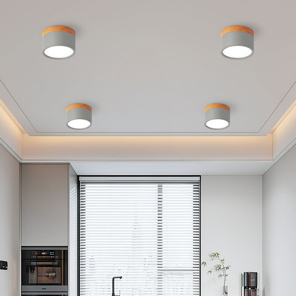 Cylinder Small Ceiling Light