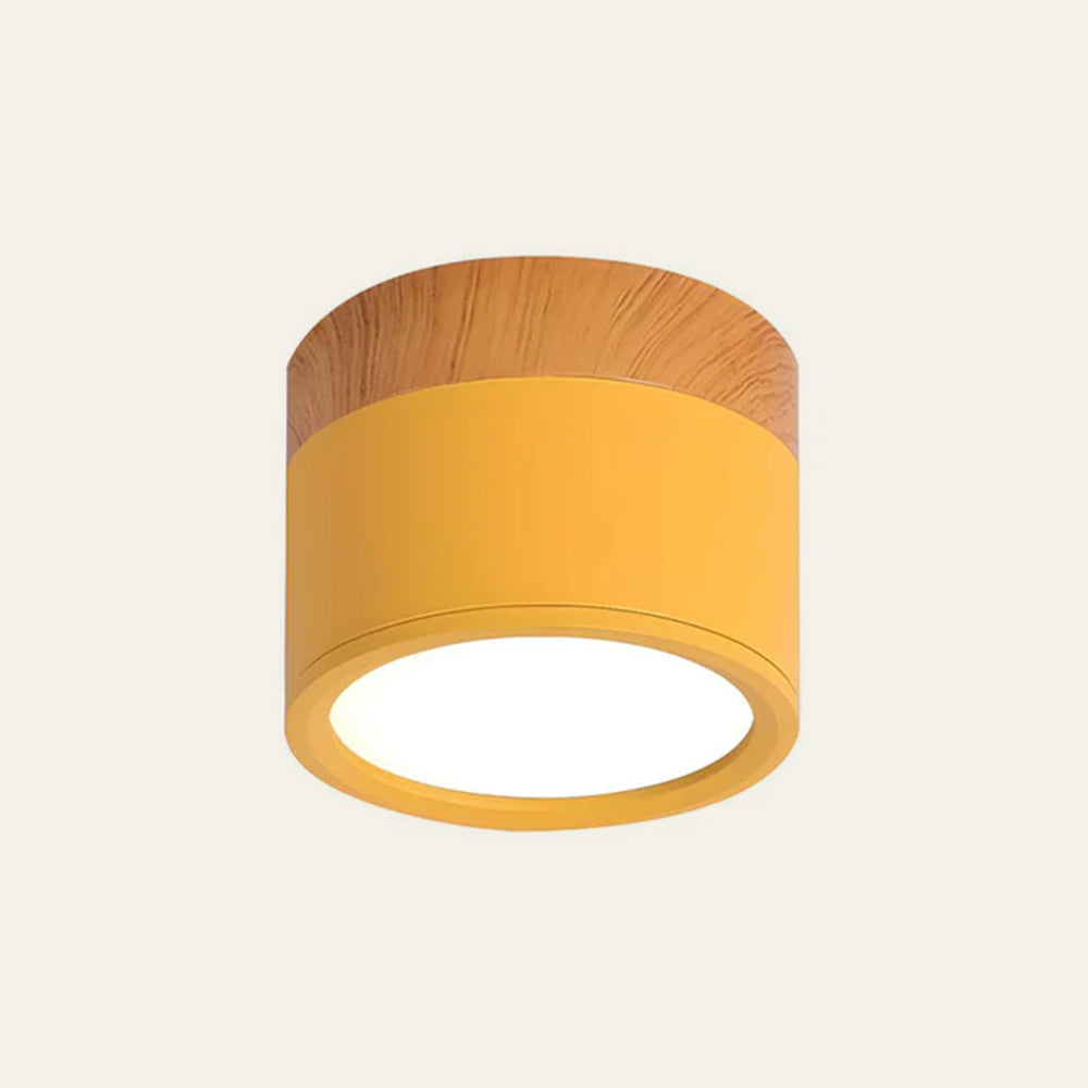 Cylinder Small Ceiling Light