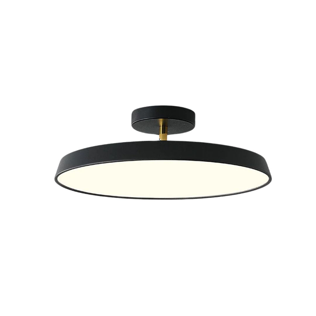 Veylith Ceiling Light