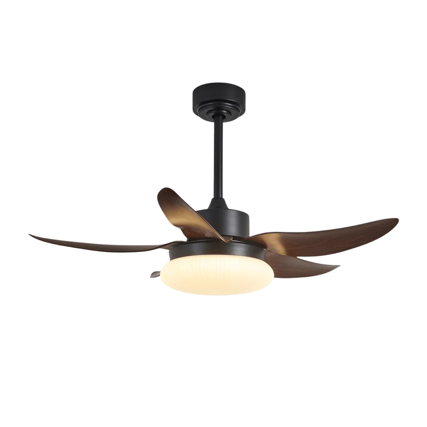 Amely LED Ceiling Fan