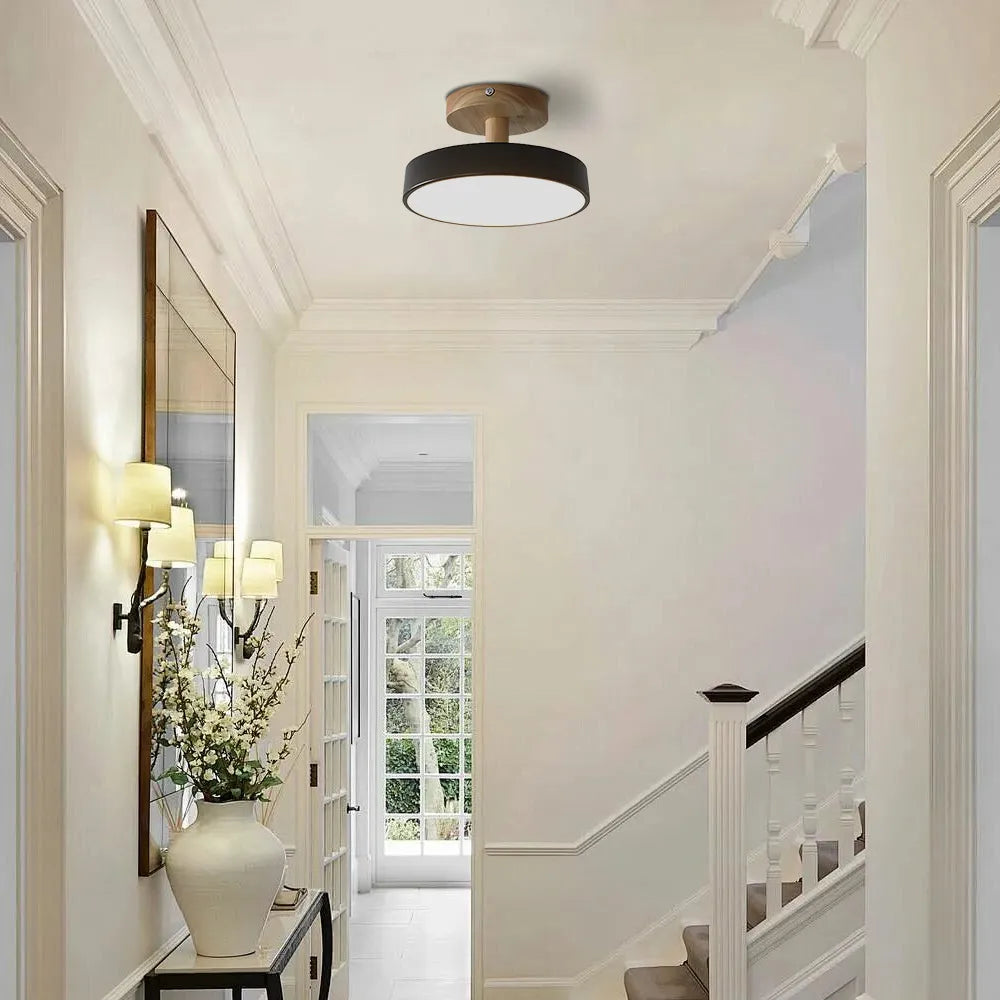 Pedol Ceiling Light