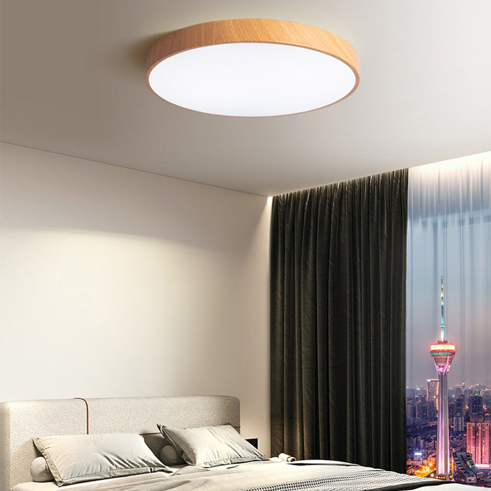 Concize Disc Ceiling Light