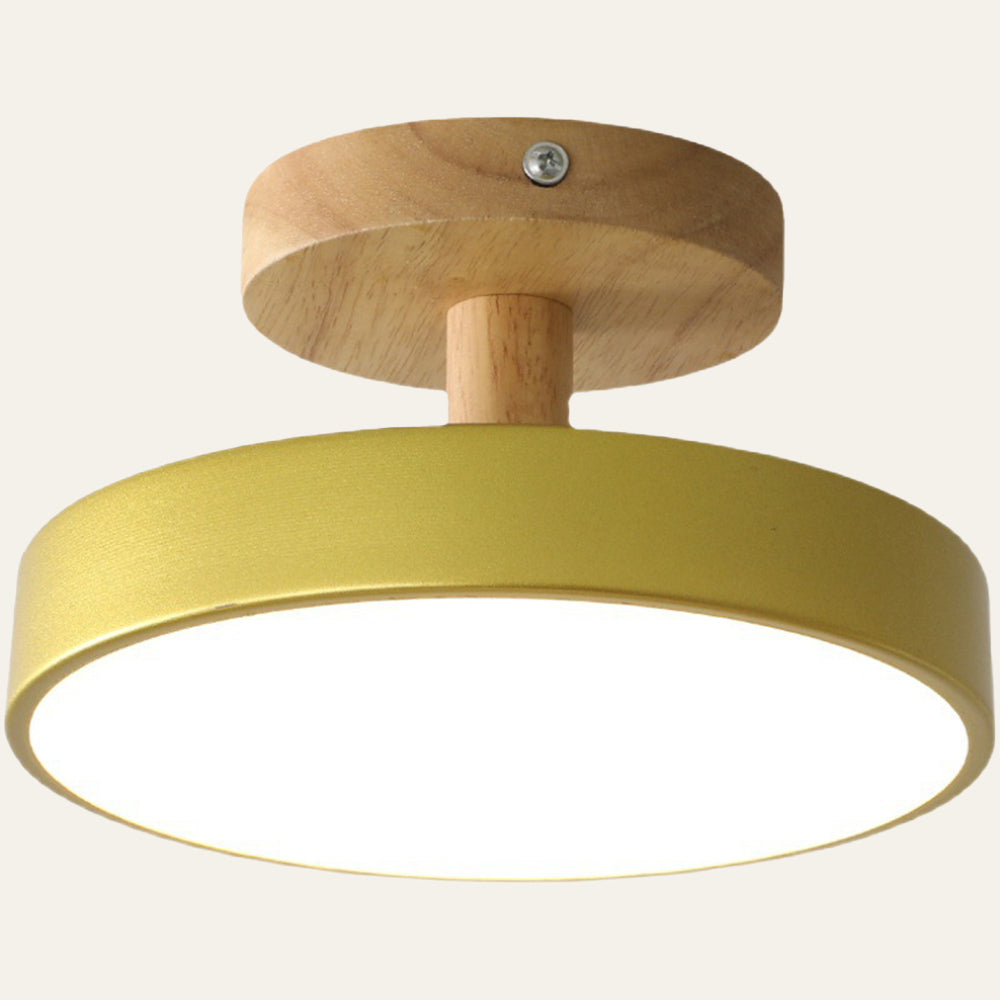 Pedol Ceiling Light
