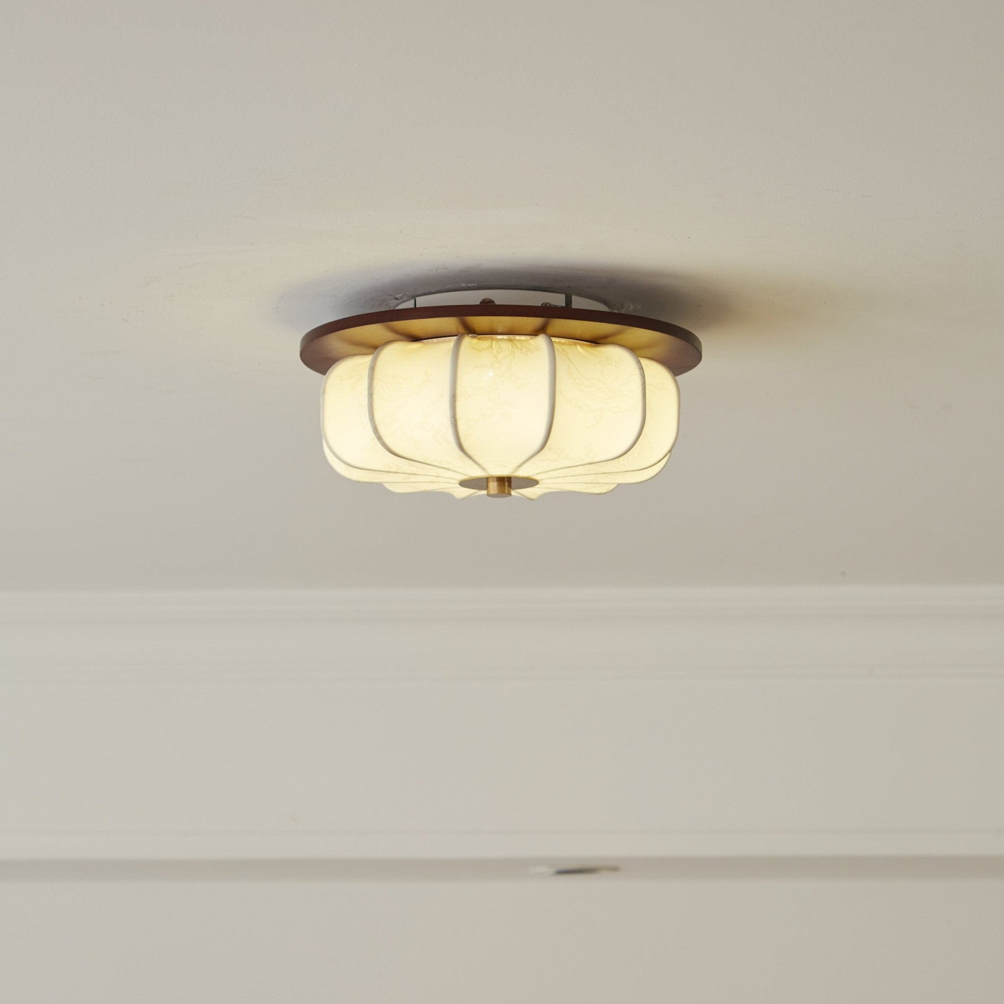 Esciro Ceiling Light