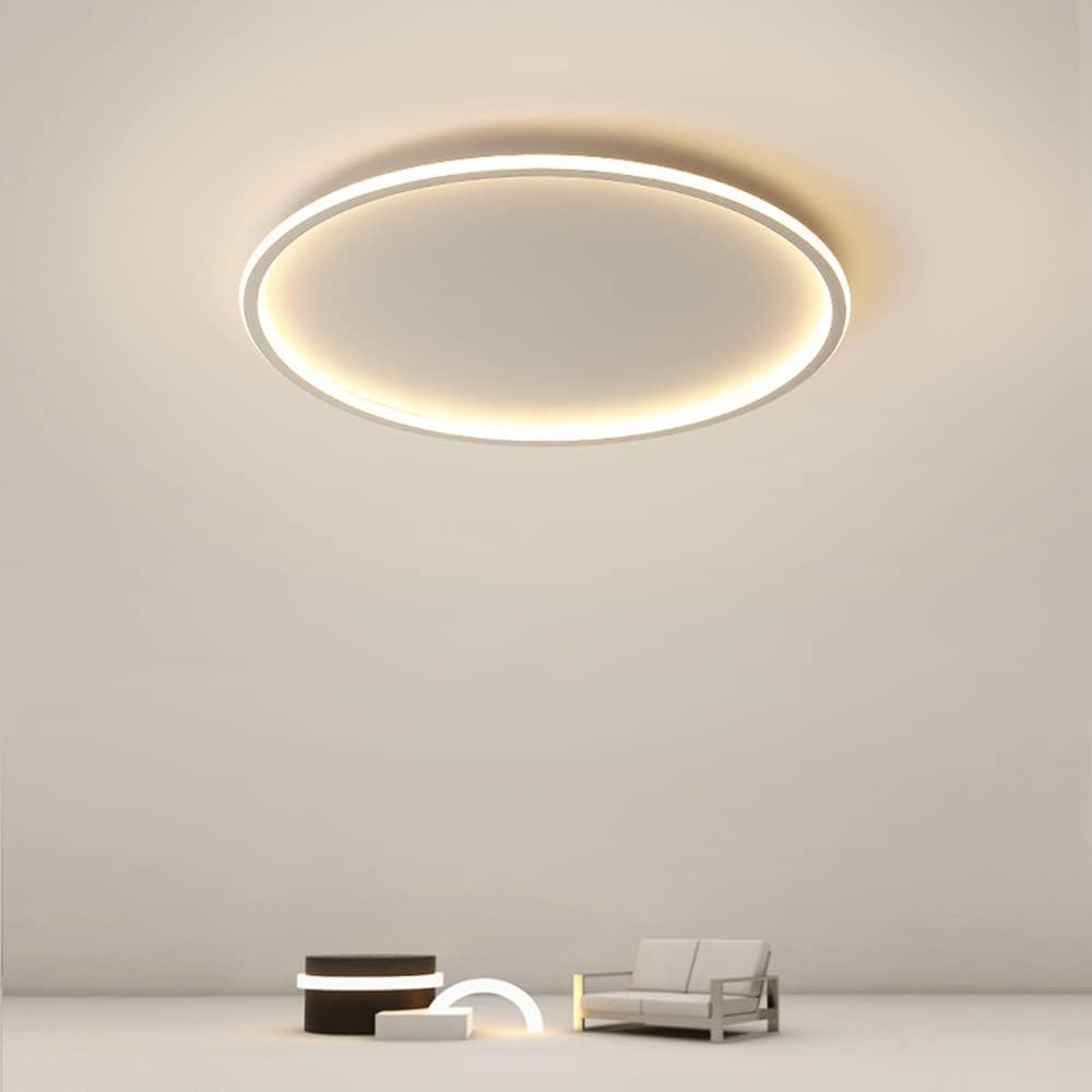 Circull Ceiling Light