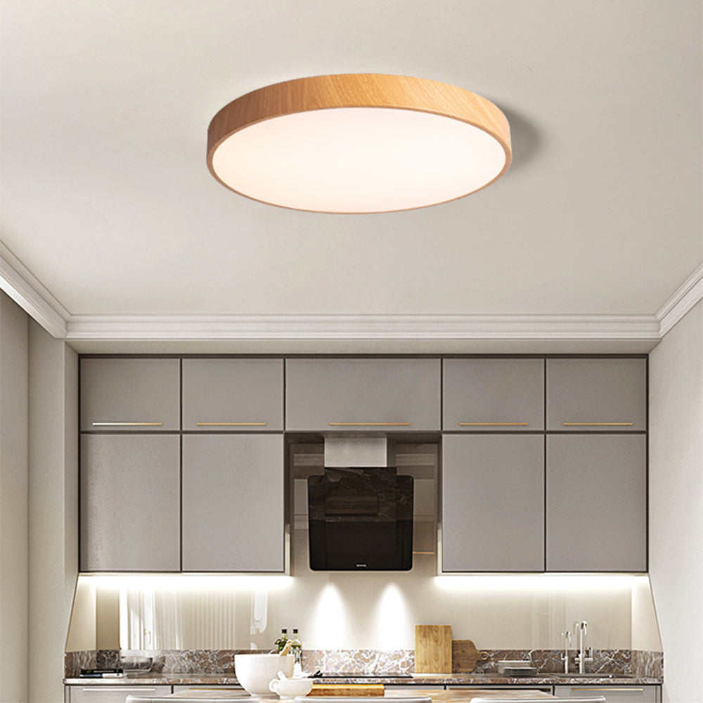 Concize Disc Ceiling Light