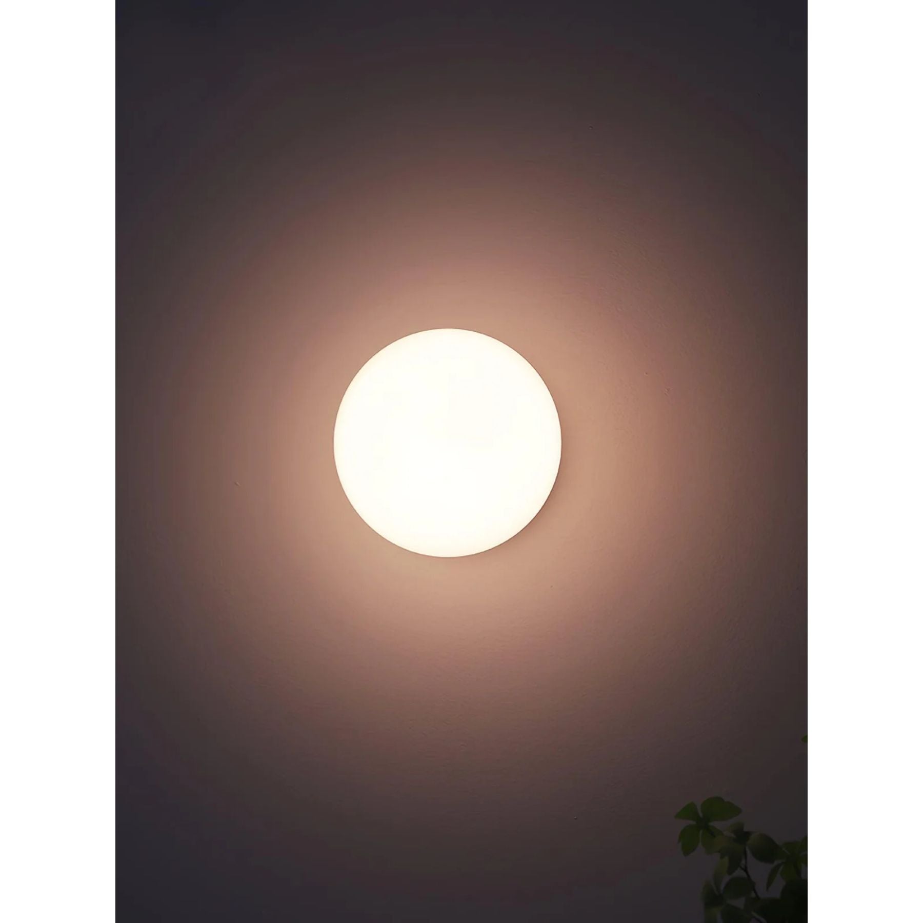 Mazello Wall Light