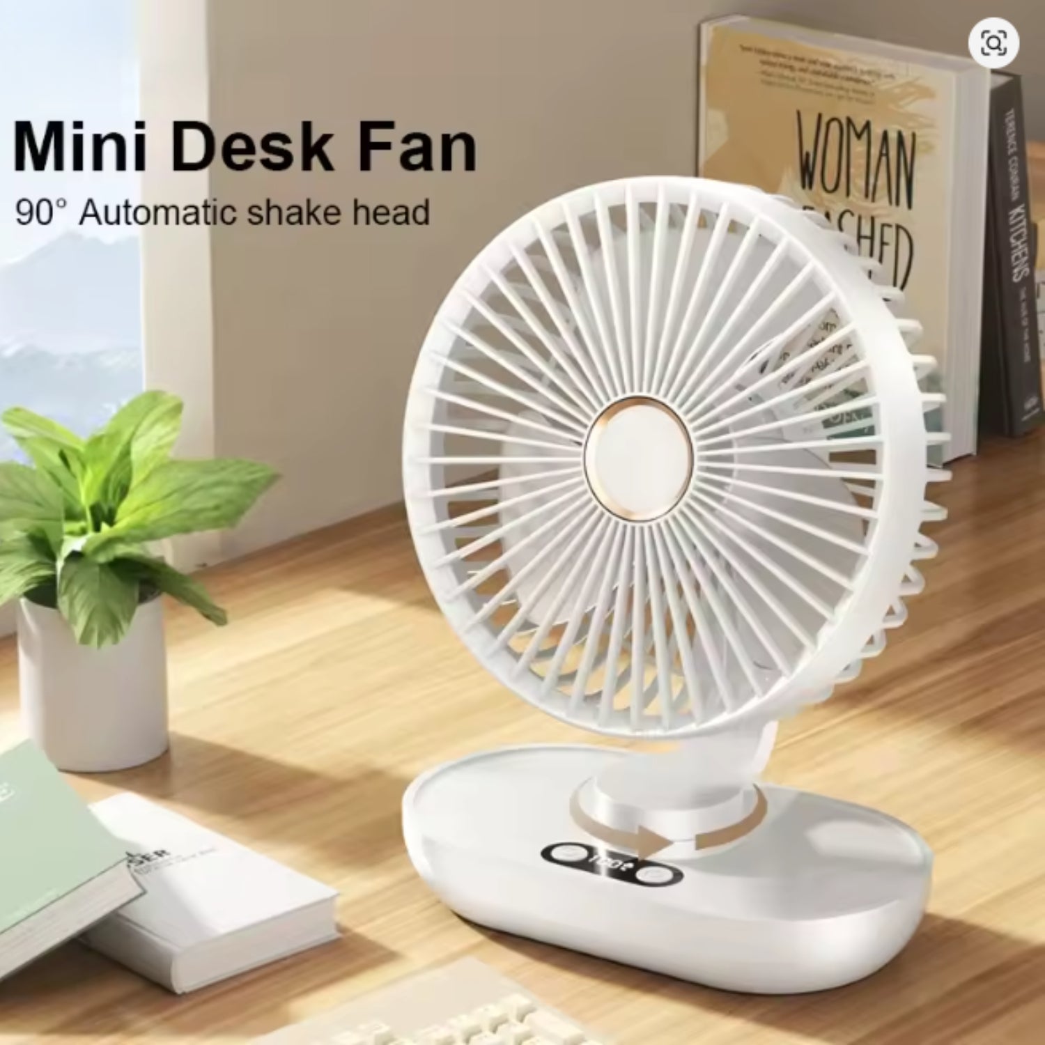 Paxava Desk Fan