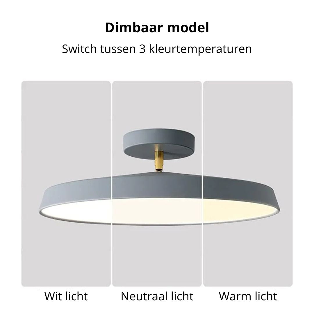 Veylith Ceiling Light