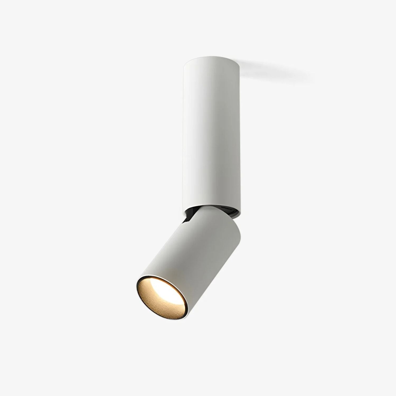 Joleizan Spotlight Ceiling Light