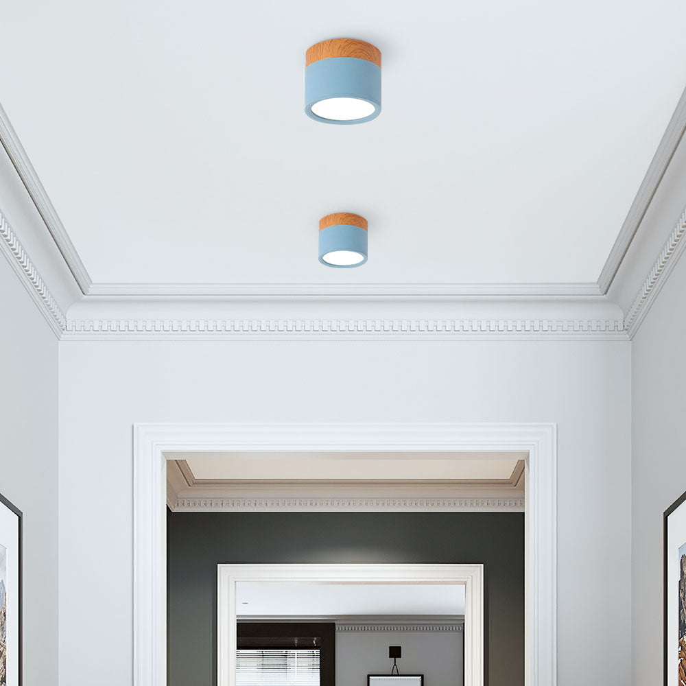 Cylinder Small Ceiling Light