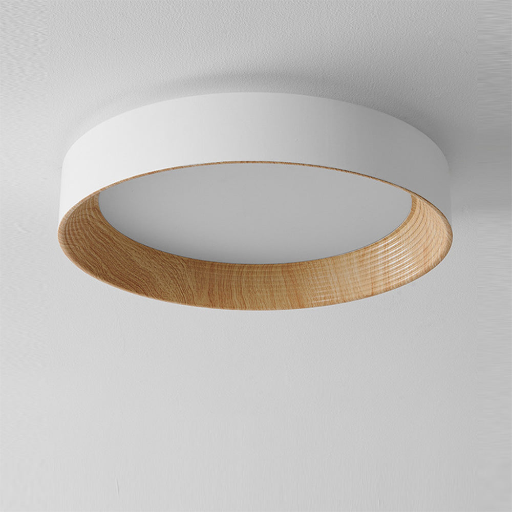Loquin Ceiling Light