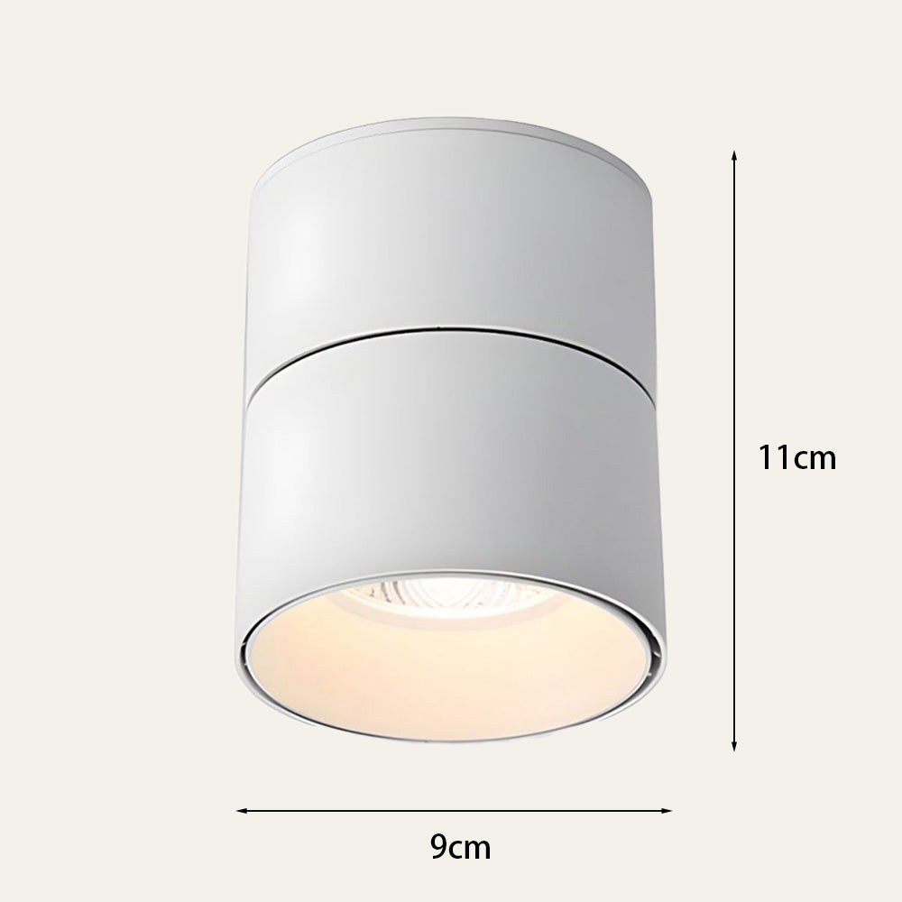 Velori Ceiling Light