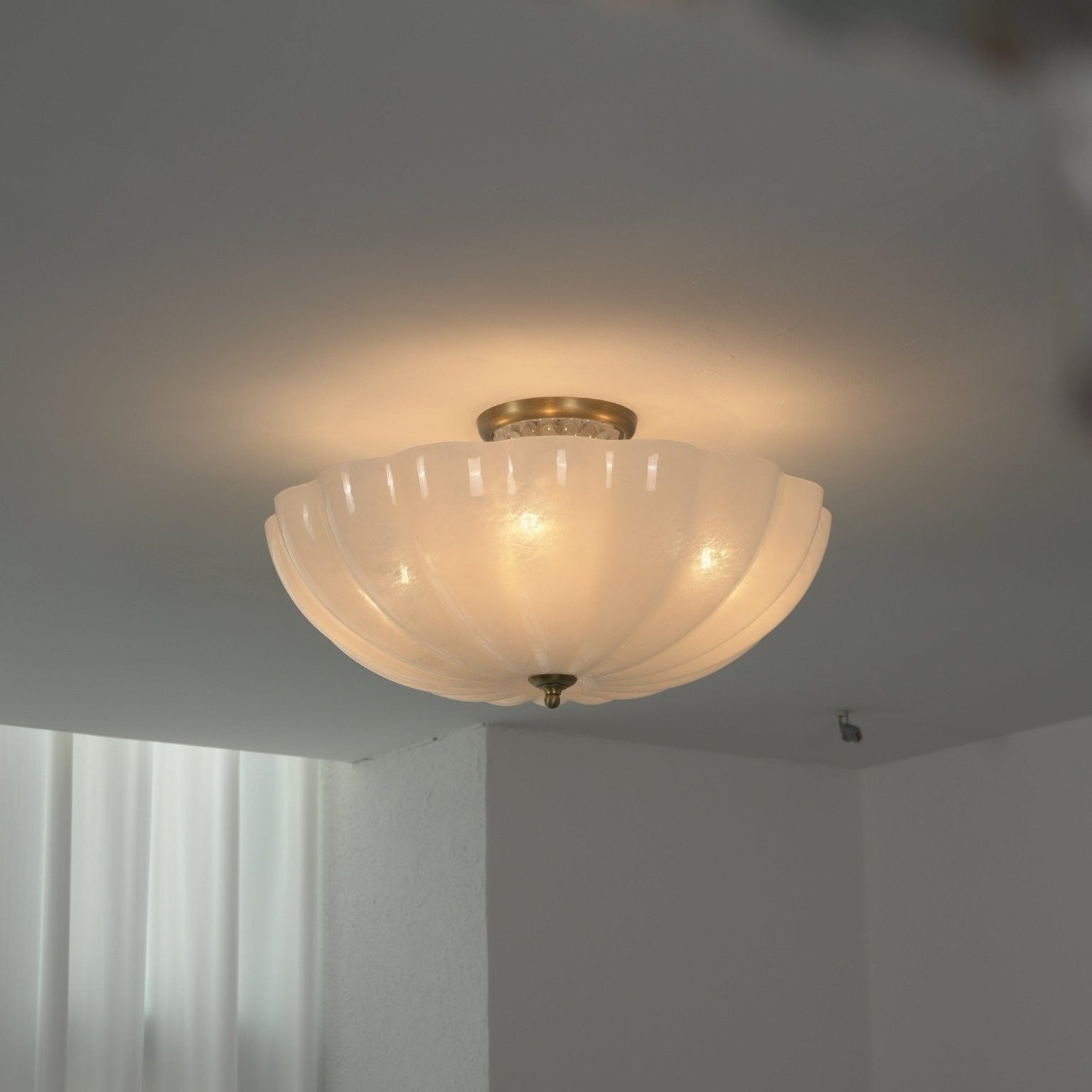 Romisel Ceiling Light