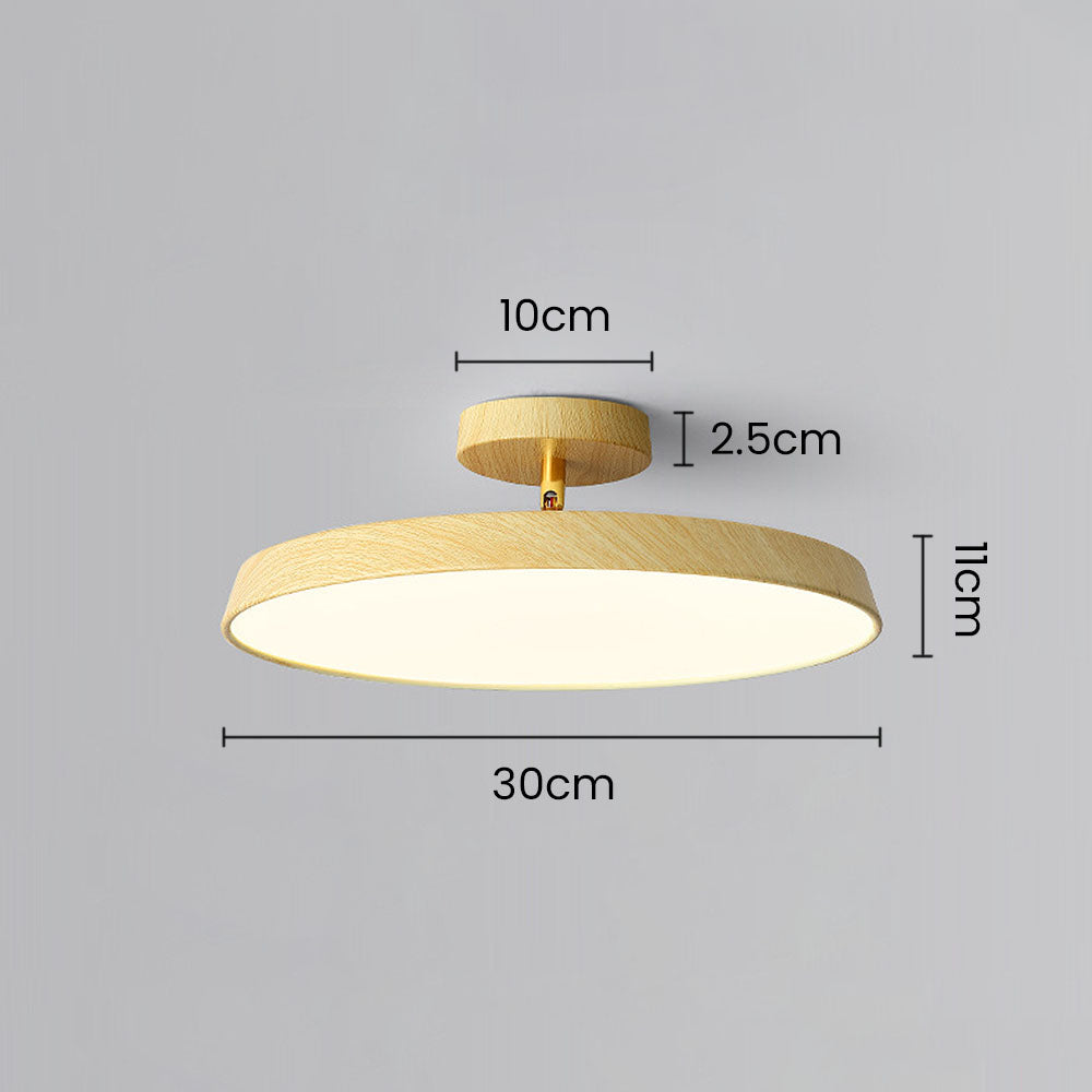 Veylith Ceiling Light