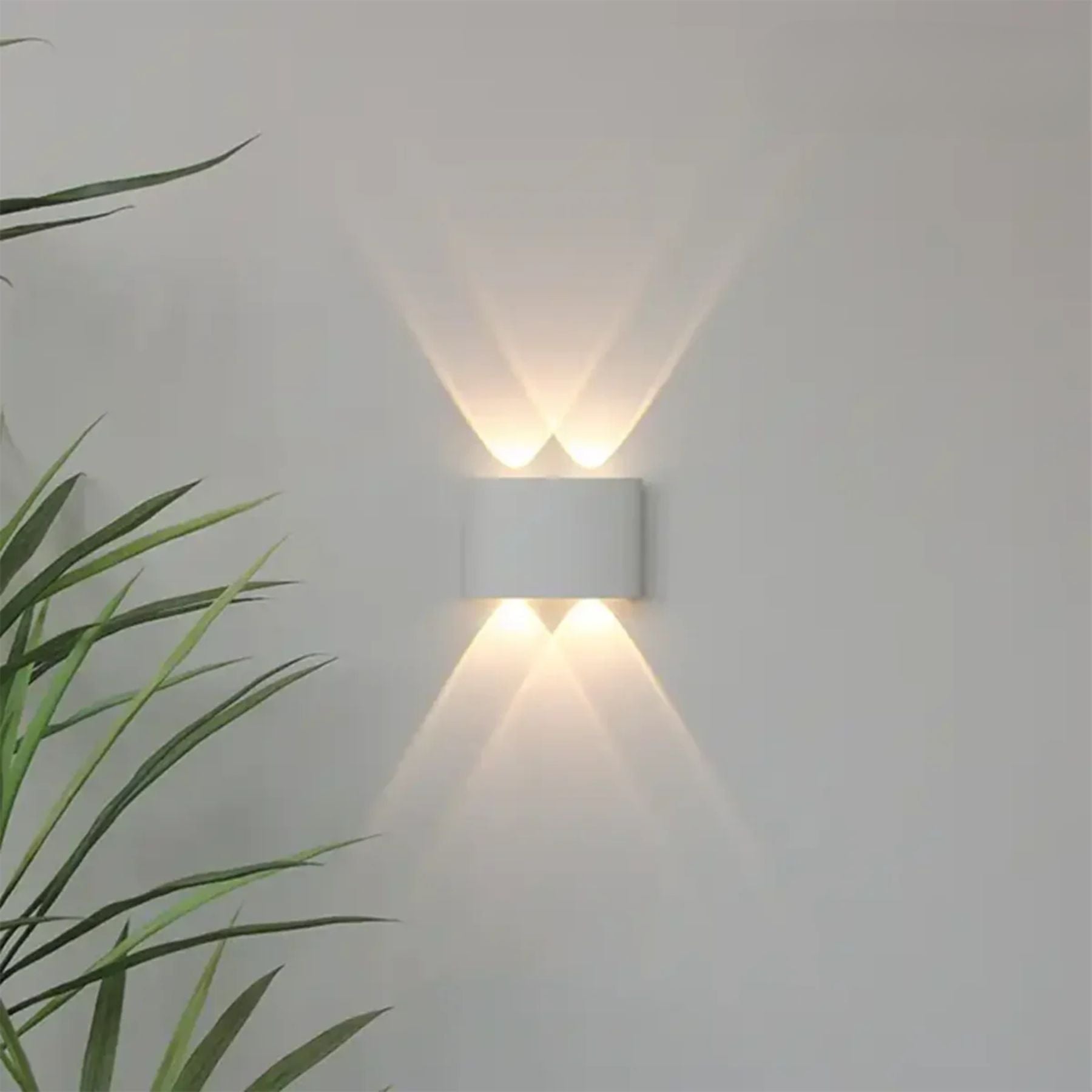 Domesi Wall Light