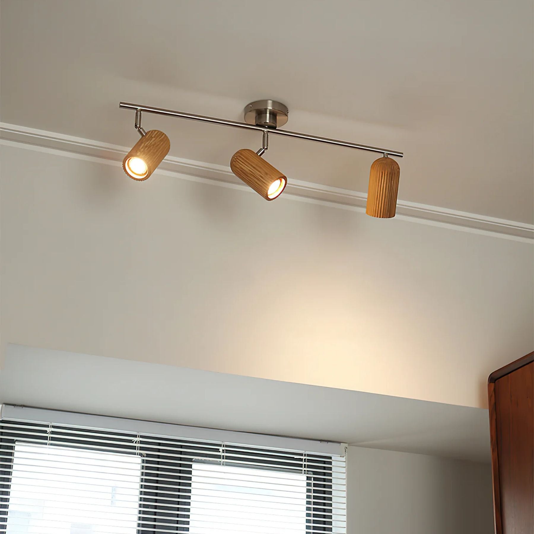 Trevizo Ceiling Light