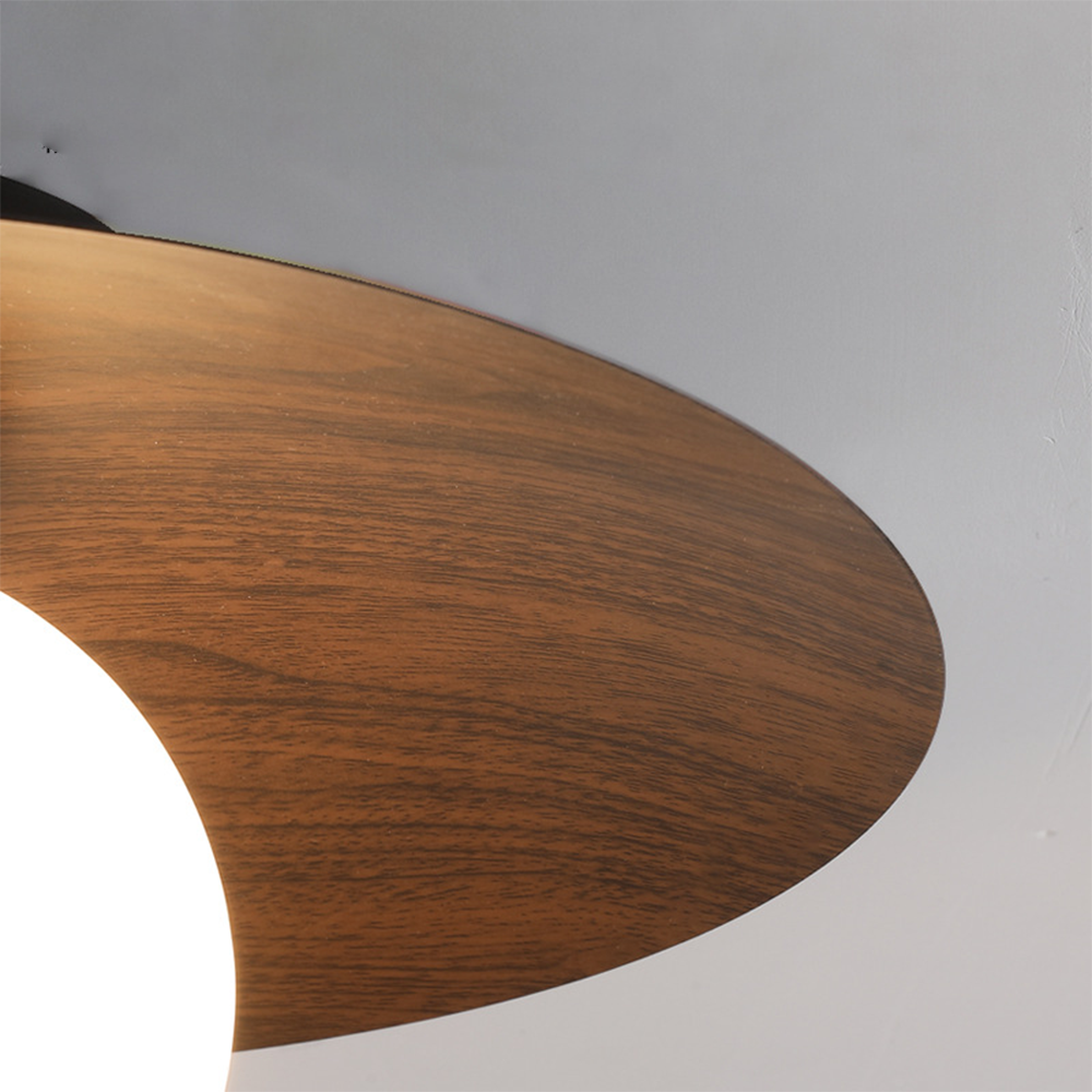 Entaro Ceiling Light