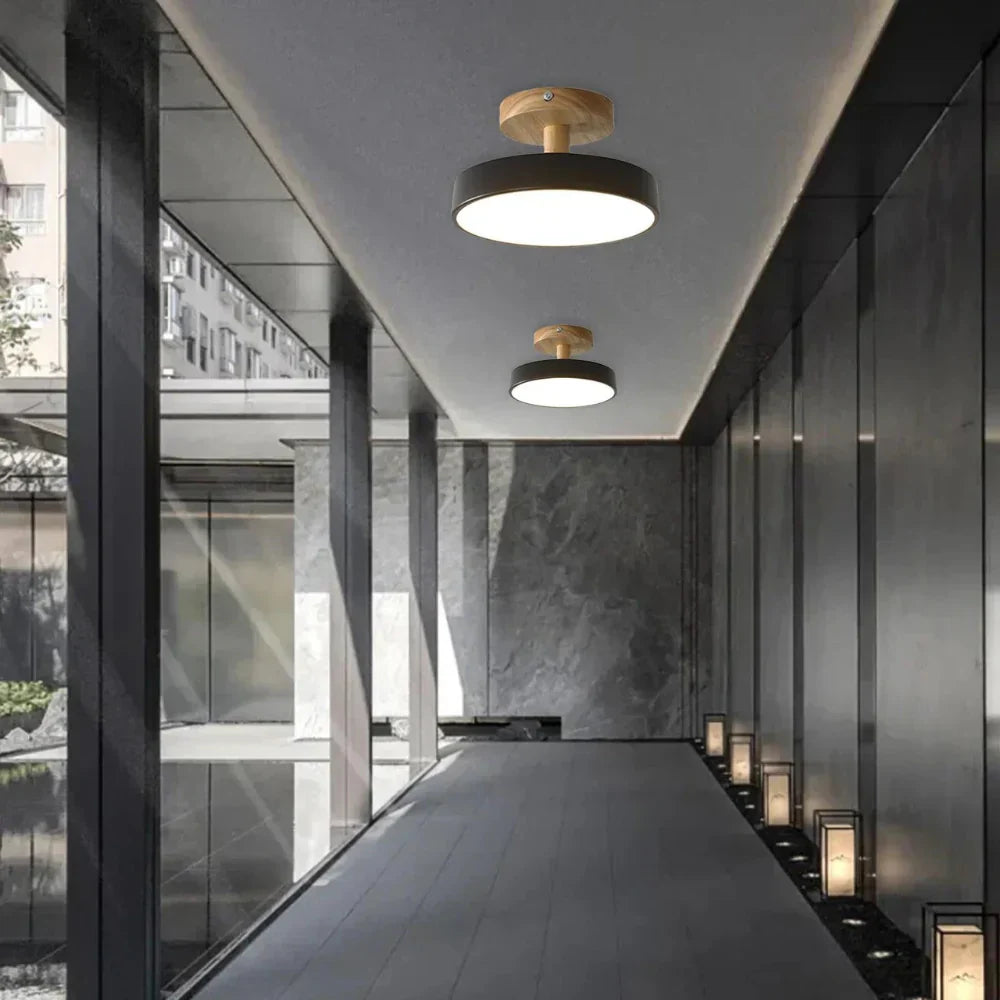 Pedol Ceiling Light