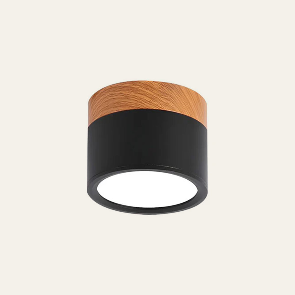 Cylinder Small Ceiling Light