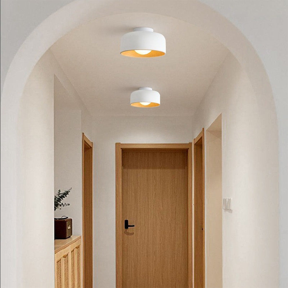 Coscon Ceiling Light