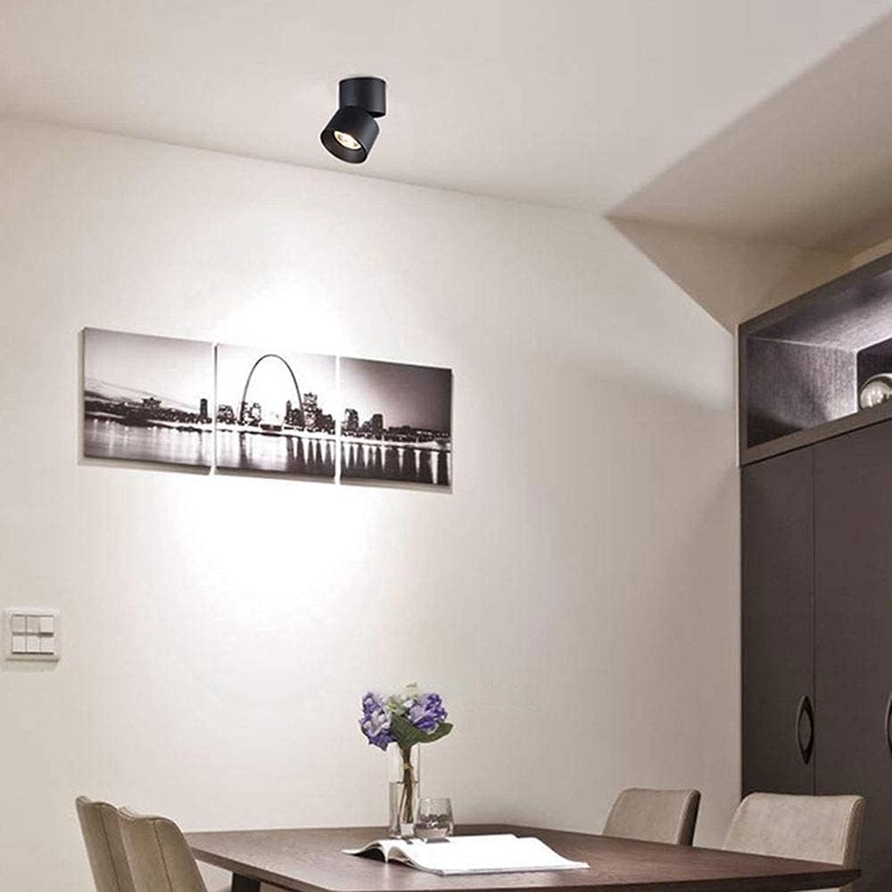 Velori Ceiling Light