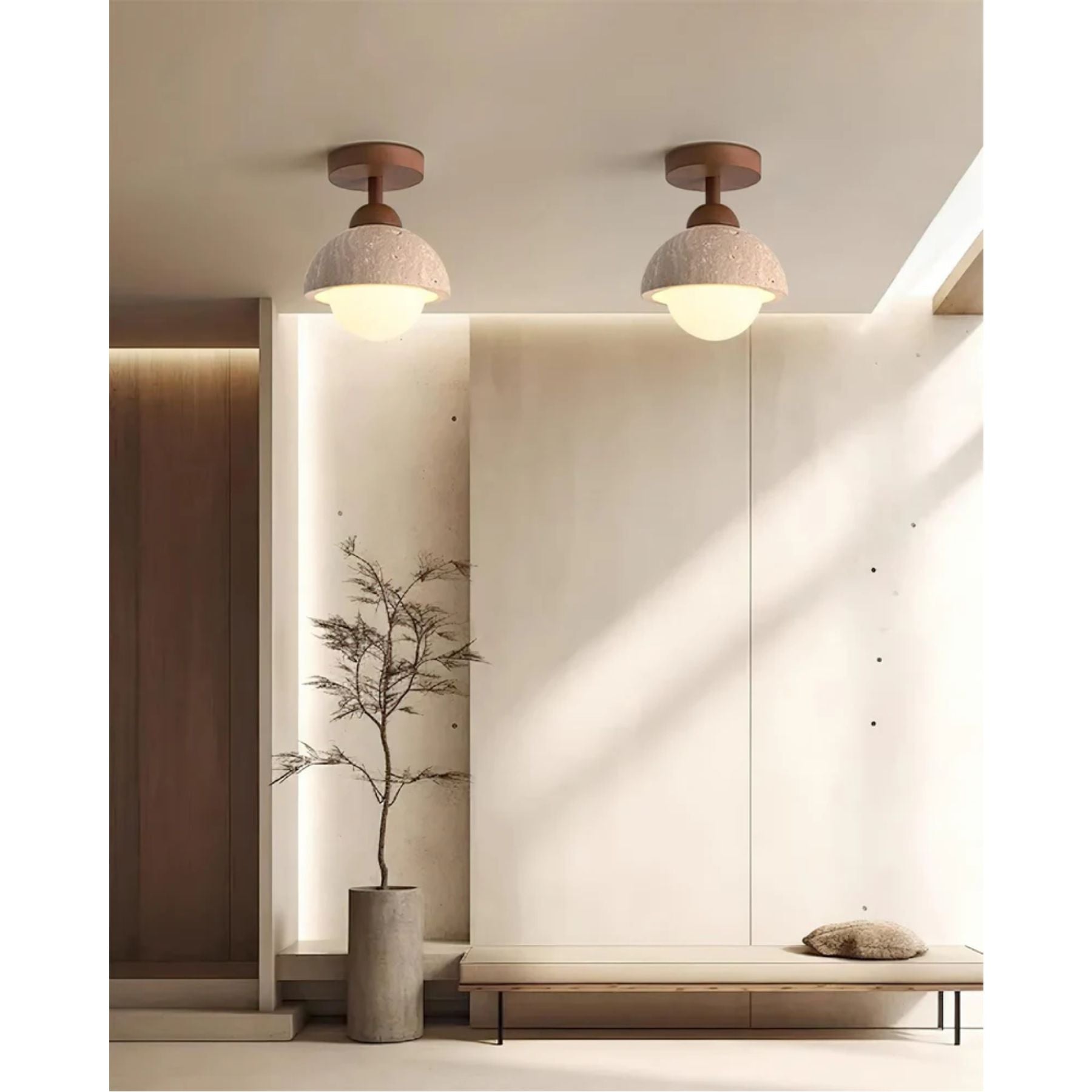 Delvoro Ceiling Light