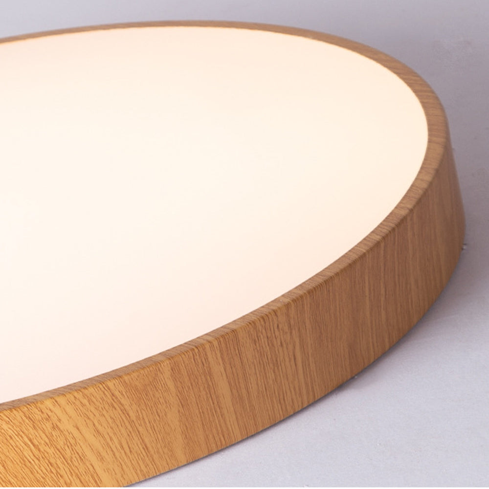 Concize Disc Ceiling Light