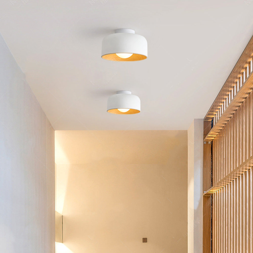 Coscon Ceiling Light