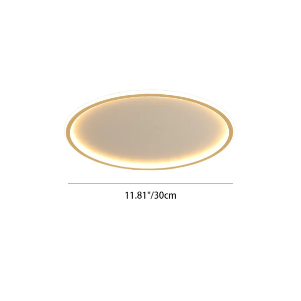 Circull Ceiling Light
