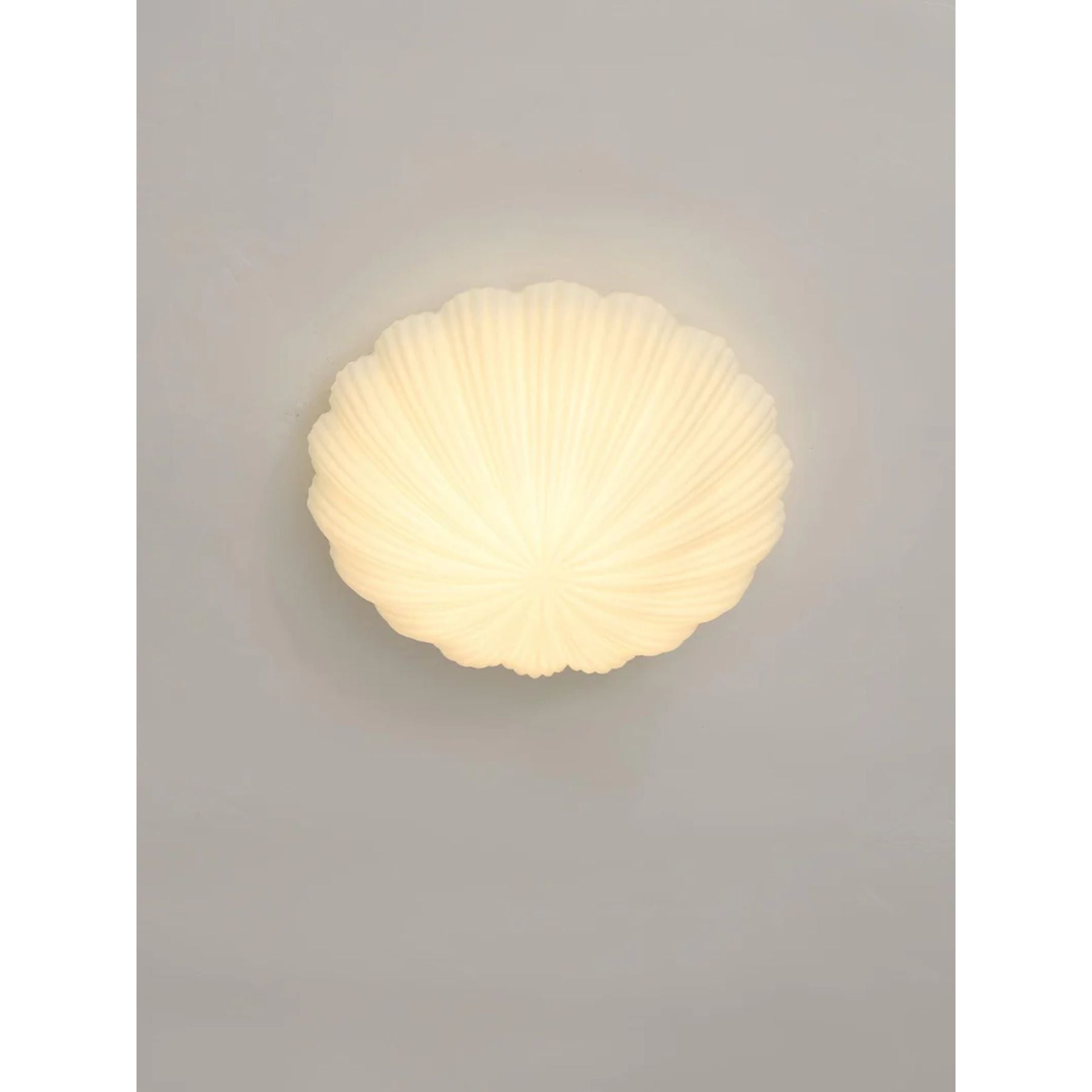 Cirello Ceiling Light