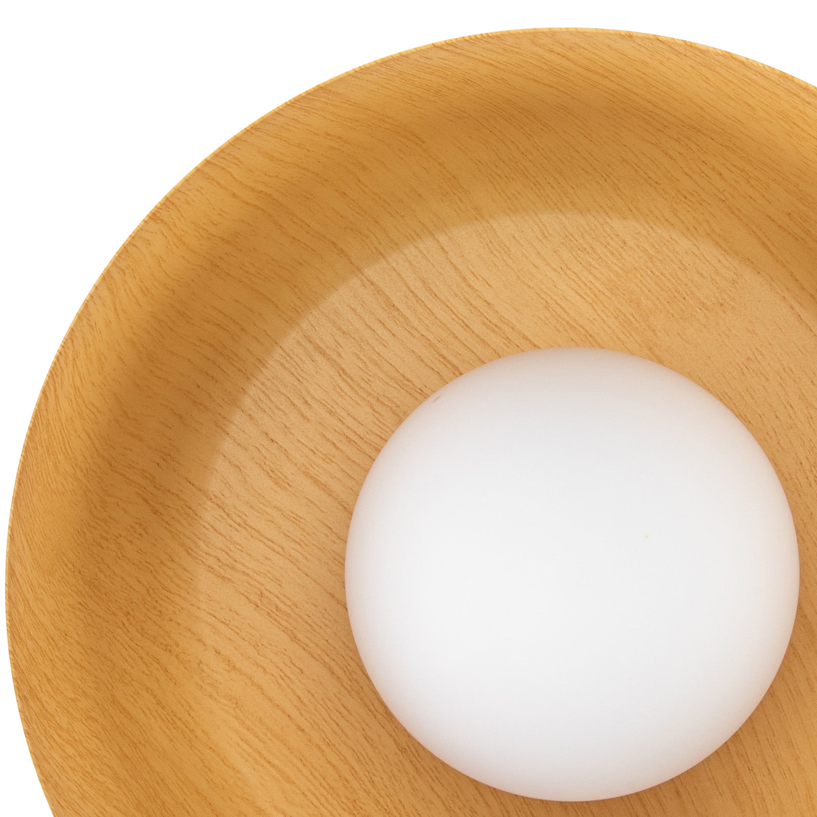 Coscon Ceiling Light